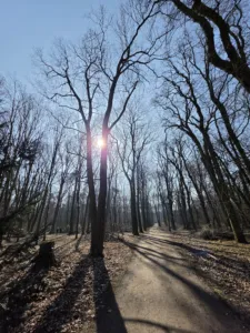 20260307 111645 4000x3000x