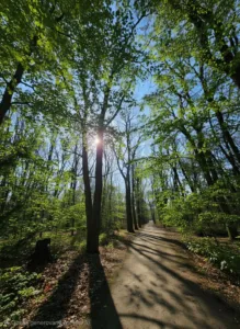 20260307 111645(1) 2592x3552x