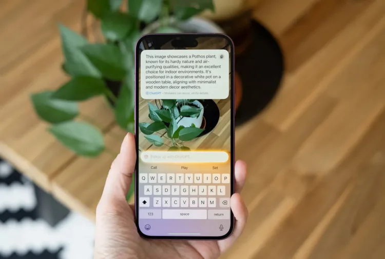 DSC08567 processed 2