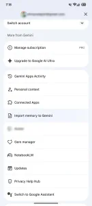 Gemini import 1 scaled jpg