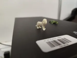 IMG 20260216 081919010 4080x3072x