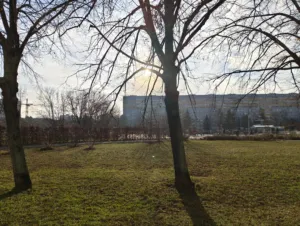 IMG 20260219 152046843 4080x3072x