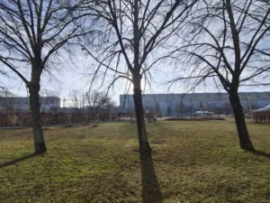 IMG 20260219 152053430 3280x2464x