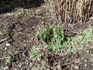 IMG 20260226 113631744 4080x3072x