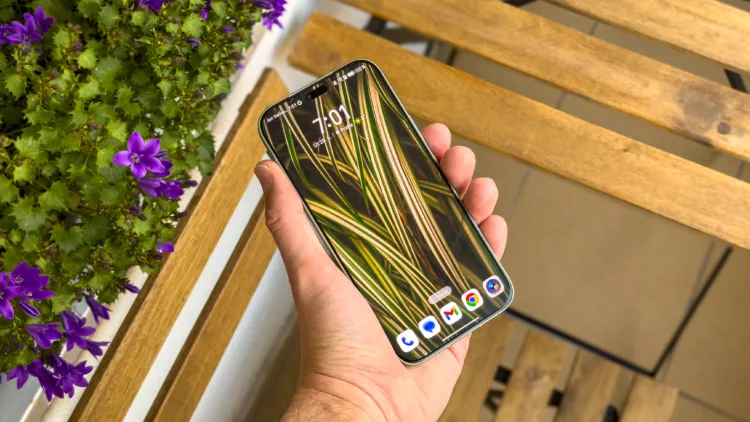 Honor 600 lite 01