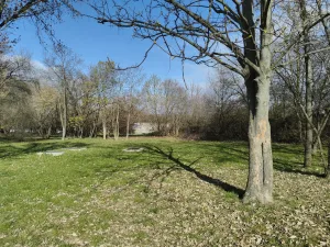 IMG 20260331 161924