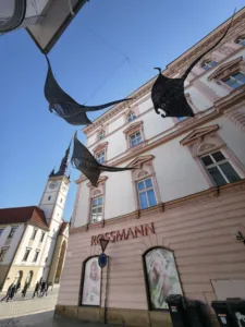 IMG 20260430 174215