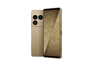 Product Intro Plate 13 M 1