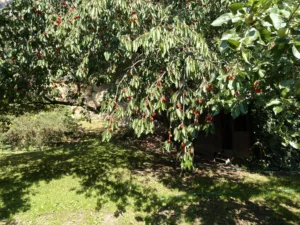 IMG20260619162313