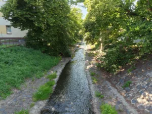 IMG20260619165137