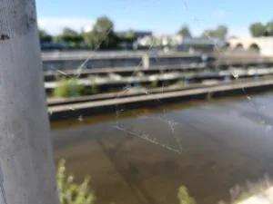 IMG20260619172125
