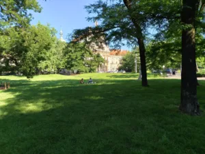 IMG20260619175223