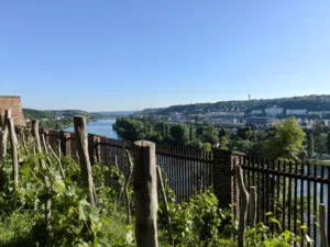 IMG20260619181554