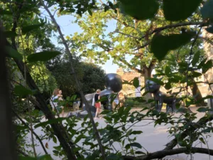 IMG20260619194640