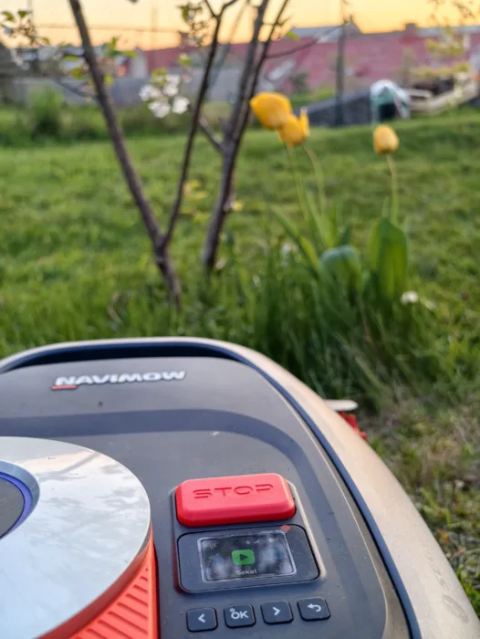 Segway Navimow H206E