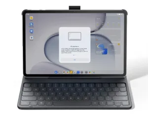 pad