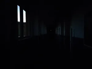 20260910_055153 20260910 055153