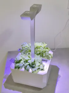 Véritable Exky Smart