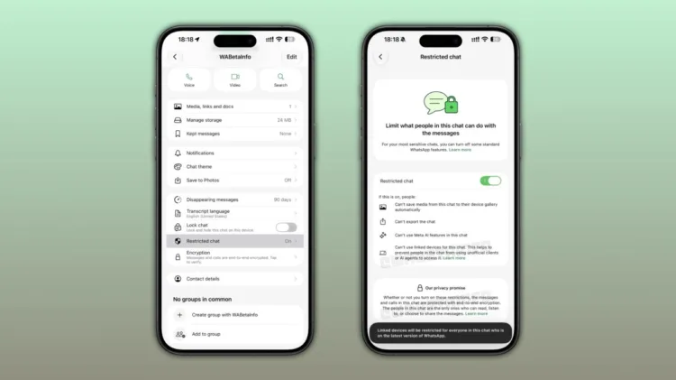 Whatsapp Omezeny Chat